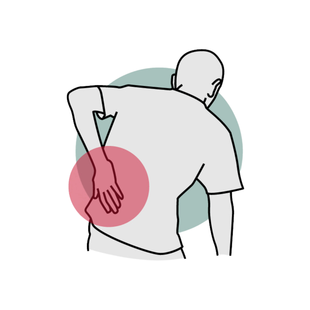 Image for FPZ Back Therapy